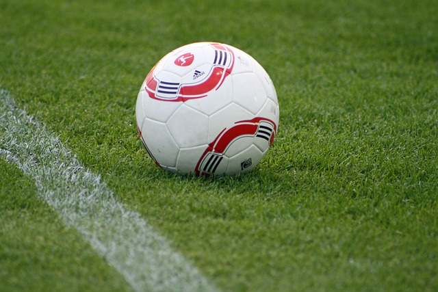 瑞士队一贯 瑞士队一贯