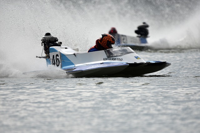 的竞技成功 的竞技成功