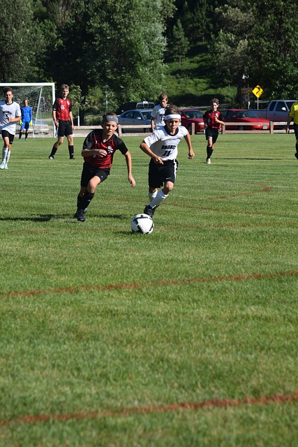 努力与成长 努力与成长