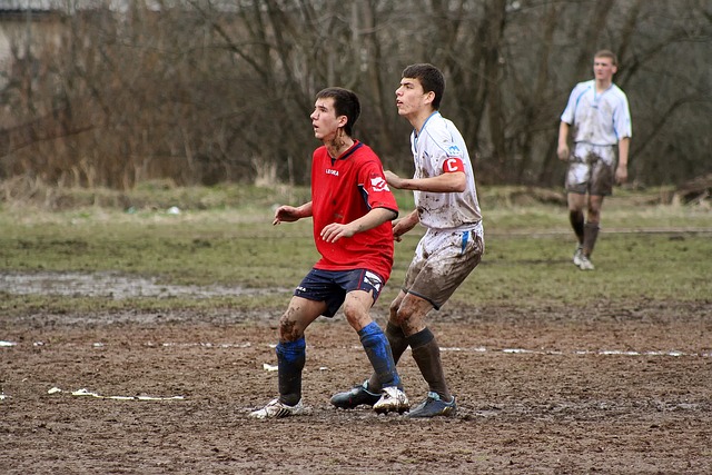 中拥有重要 中拥有重要