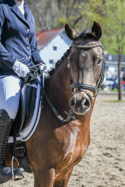 巴塞罗那足 巴塞罗那足