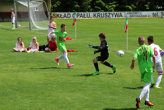 這類爭議方 這類爭議方