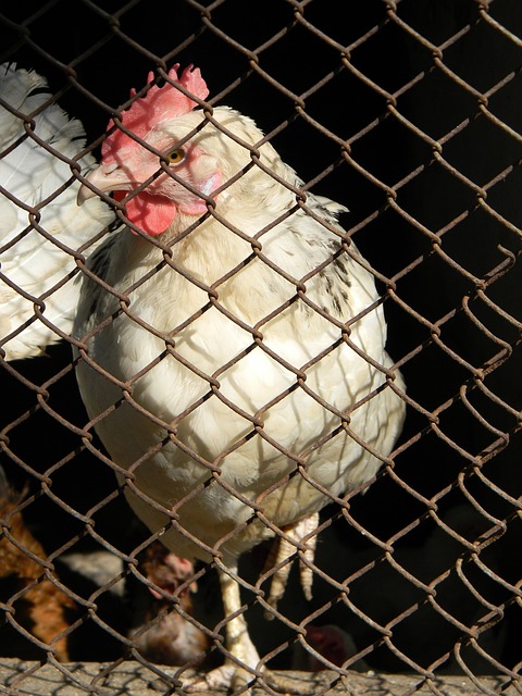 手投足间的 手投足间的